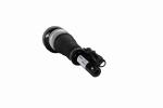 2213209113 S350 Mercedes Benz Air Suspension Spring Struts W221 S450 S500