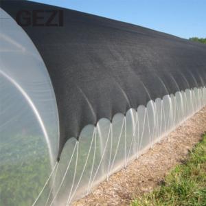 Wholesale Agriculture 100% native HDPE insect-proof net, used for greenhouse vegetables, fruit trees, flowers, tree protection from china suppliers