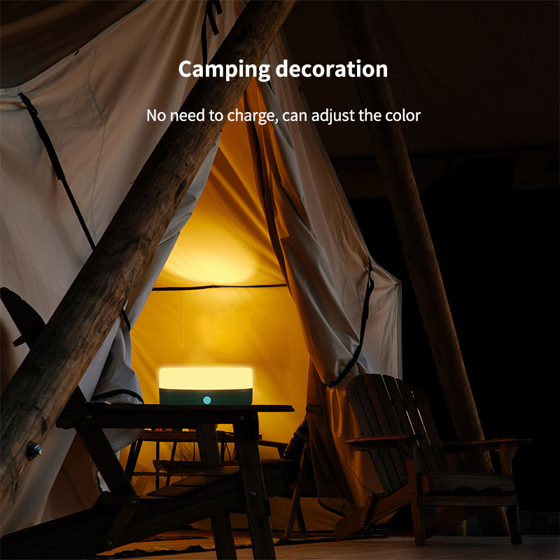Modern Solar LED Outdoor Lights With Motion Sensor Stake Design Solar Powered