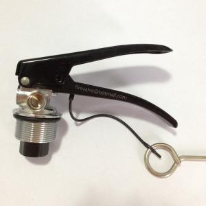 Wholesale dry powder fire extinguisher valve 4-12kg Indian type valve from china suppliers