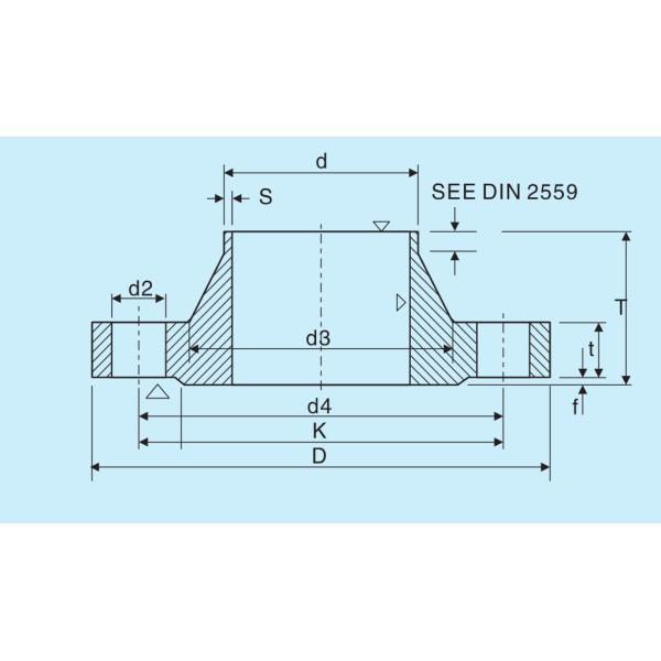PN160 WP304 AMSE B16.9 Stainless Pipe Flanges Shotblasting