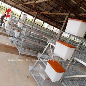 Wholesale Galvanized Layers Chicken Cages Capacity 96/120/128/160/200 Equipment Doris from china suppliers