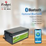 OEM 300ah 12V LiFePO4 Battery Travel Caravan Battery Pack Wireless Charging