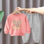 Boys And Girls Children'S Long Sleeve Set Cartoon Pattern