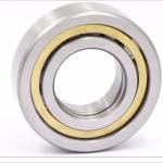 Carbon Steel NU203~NU244 110 mm Brass Cage Cylindrical Roller Bearings