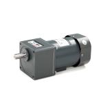 Voltage 40W AC Gear Motor High Torque Speed Reducer