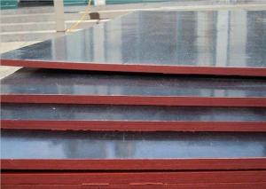 Wholesale Concrete Formwork Film Faced Marine Plywood , WBP Glue Film Coated Plywood Panel from china suppliers
