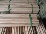 Floor Eucalyptus Wood 1200mm Wooden Mop Handles