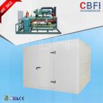 Frozen Foods Seafood Blast Freezing Process / Meat Blast Freezer Easy Operation