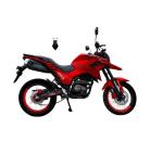 Gasoline Powered Racing Bike Motorcycle 250cc 300cc TEKKEN Motorcycle