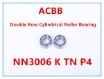 NN3006 K TN P4 Double Row Cylindrical Roller Bearing
