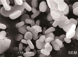 Wholesale Good Dispersibility 99.95% Aluminum Oxide Ceramics High Purity Alumina Powder from china suppliers