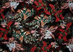 Wholesale DTM Floral Embroidery Multi Colored Lace Fabric For Show Dress Eco Friendly from china suppliers