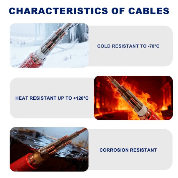 BTTRZ cable installation in industrial setting
