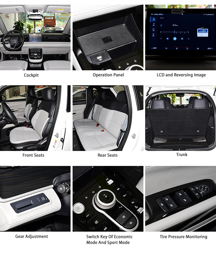 BYD D1 Electric MPV Cars Vehicles Fast Charging New Energy EV