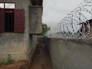 Wholesale BTO-22 450mm Coil 316 Stainless Steel Razor Wire from china suppliers