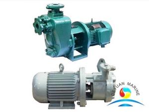 Wholesale Reliable Marine Vortex Fresh Water Pump Peripheral CXZ Series from china suppliers