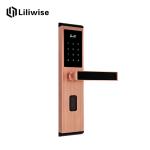 Wooden Door Apartment Door Locks Digital Unlock With Card Password