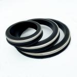 Oil Resistant Hammer Union Seals With Stainless Back Up For Oil And Gas Industry