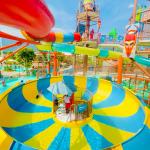Mega Tropical Water Park Slide 400sqm Water Park Bowl Slide