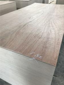 Wholesale Phenolic Glue Okoume Face Back EUTR Marine Okoume Plywood from china suppliers