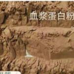 Poultry Feed Additives Manufacturers Spray Dried Duck Plasma Protein Powder,
