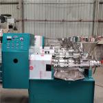 Food Grade Stainless Steel Cold Press Peanut Oil Press Machine