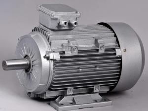Wholesale Two Pole Induction Motor 2 Pole 220V High Low Rpm 3 Hp Ac from china suppliers