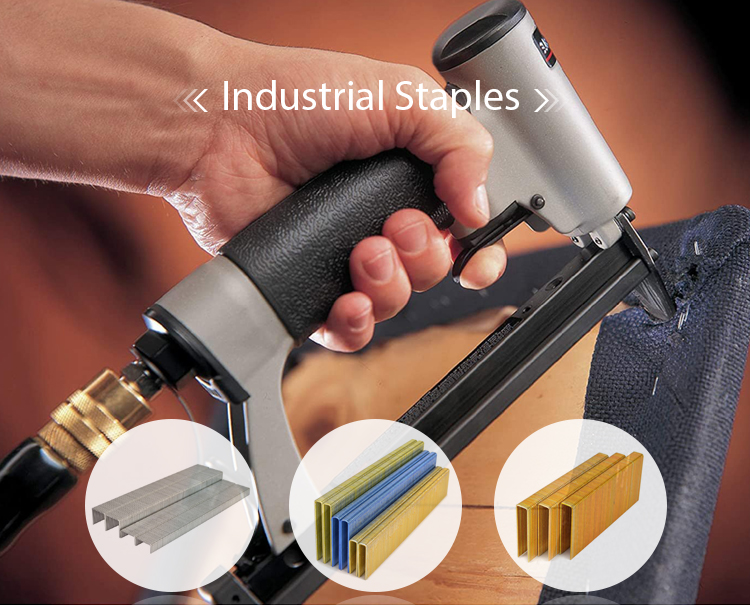 20 Gauge 80 Series 12.7mm Crown Furniture Staples 8010