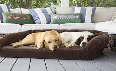 Shredded Bolster Orthopedic Pet Beds For Large Dogs Soft Surface Easy To Wash