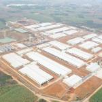 100 Sow 2.4*0.6m pen Piggery Farm Equipment