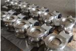 Acid Resistant Dome Valve / Wafer Sphere Valve / Powder Valve With Mild Steel