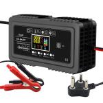 OLP Protection Private Mold 12V 12A 24V 6A Lead Acid Battery Charger for Car