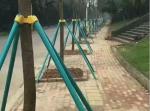 UV-Resistant Anti-Aging FRP Fiberglass Garden Support Stakes High Strength