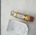 DN15 Metal Air Compressor Safety Valve Model 39588017