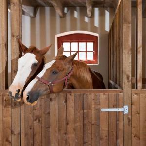 Wholesale Internal Portable Horse Stall Panels Easy Installation Customized Brand from china suppliers