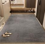 2024 New Door entry light luxury high sense Floor Carpet Rug