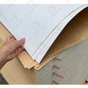Wholesale Food Packaging CKB Coated Kraft Back Board 100% Virgin Wood Pulp Material CKB Paper from china suppliers