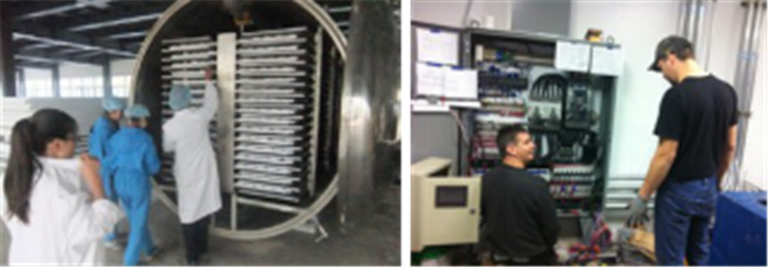 SUS316 0.5m2 GZLS Vacuum Freeze Dryer Machine