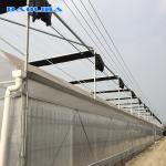 200 Micron Film Tomato Growing Plastic Tunnel Greenhouse Multi Span Greenhouse