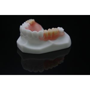 Valplast Partial Denture