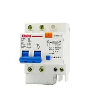 Wholesale DZ47LE 2P 10A 16A 20A 25A 32A 40A 50A 60A Residual current Circuit breaker RCBO from china suppliers