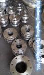 WN Flange , RF