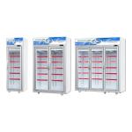 Supermarket Upright Freezer with Glass Doors on Wheels Blast Freezer