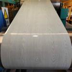 DX51D 0.3mm PPGL Steel Coil Hot Dipped Color Coated 50mm Width