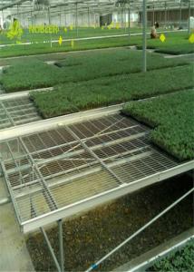 Wholesale Large Wire Greenhouse Grow Beds And Tables / Garden Center Tables from china suppliers