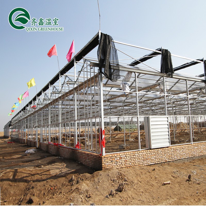 Customized Canada Tunnel Greenhouse Garden Tunnel with Glass or PC Sheet