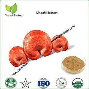 Wholesale reishi spore powder,reishi powder,reishi broken spore powder,best reishi mushroom supplement from china suppliers