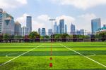 3/8" Gauge Artificial Turf Grass 9000 Dtex Golf Rug Lawn Simulation