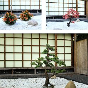 Wholesale Anti - Fading Plastic Artificial Landscape Trees For Airport Interior Decoration from china suppliers